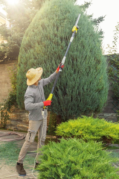 Best Weed Control Services  in USA